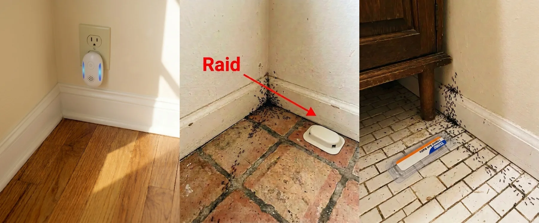 AntRx vs TERRO vs Raid head-to-head comparison