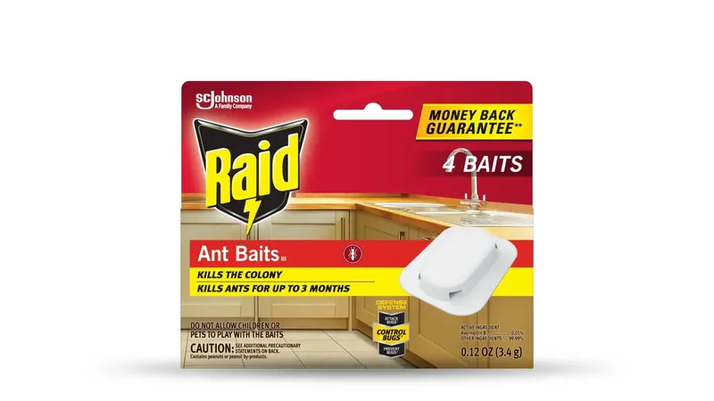Raid