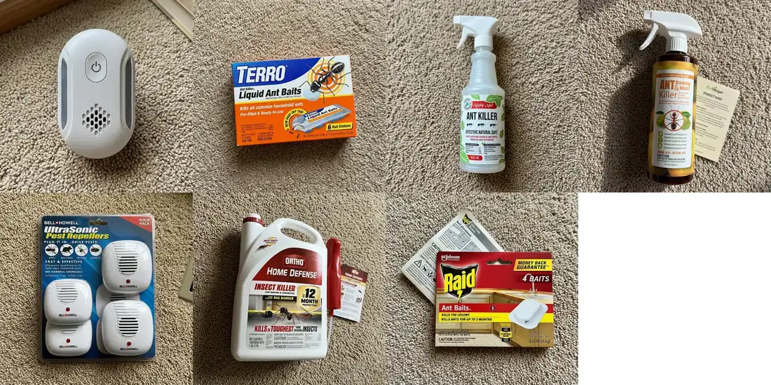 Initial research lineup