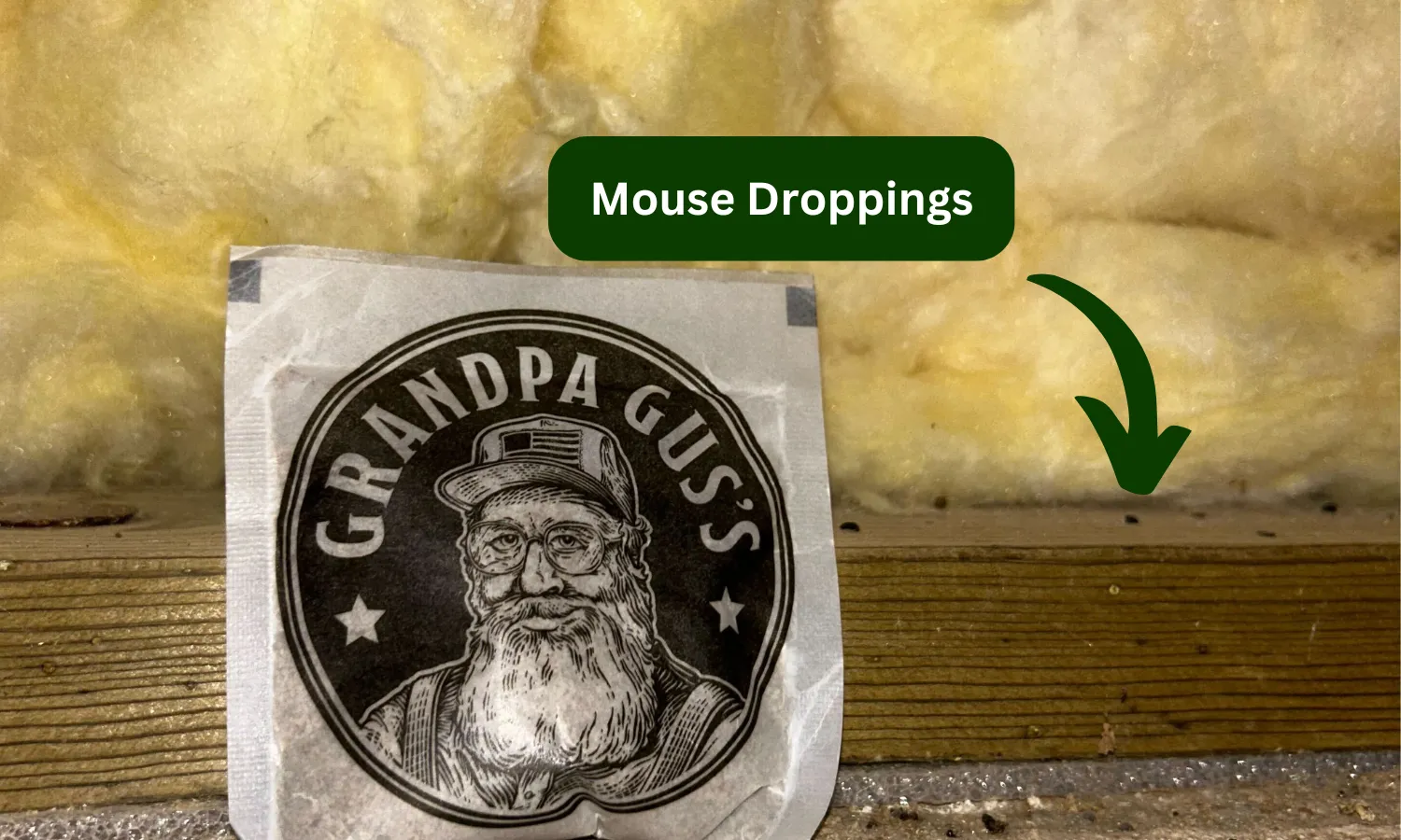 Basement test area with rodent sign