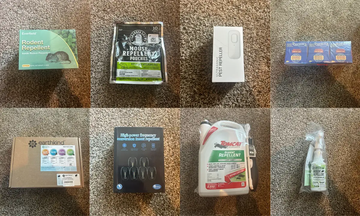 Every repellent I tested, photographed together