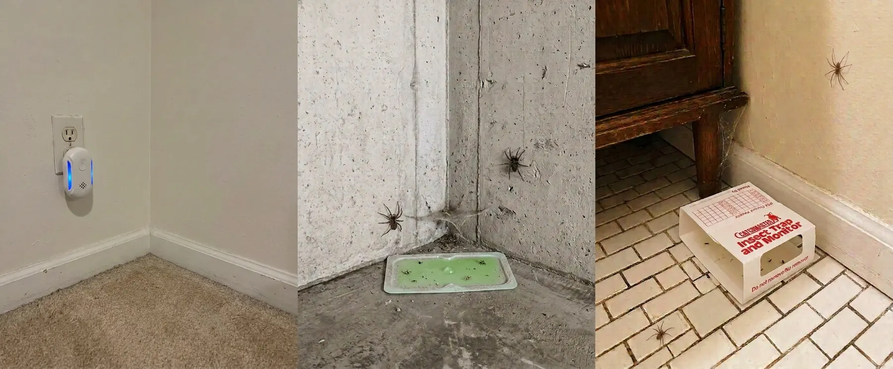SpiderRx vs Tomcat Super Hold vs Catchmaster head-to-head in three test corners