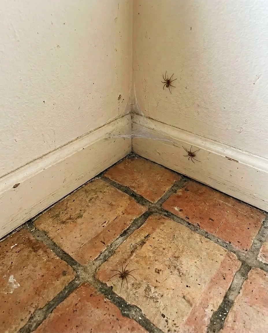 Spray application around a basement corner
